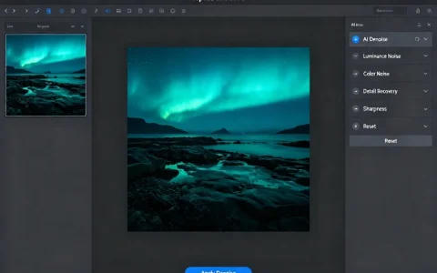 Topaz DeNoise AI｜AI 智能照片降噪工具