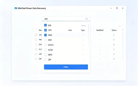 MiniTool Power Data Recovery 删除/格式化/丢失分区恢复软件