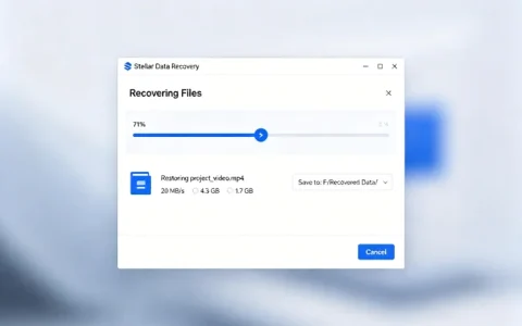 Stellar Data Recovery 支持 SSD 存储卡，修复损坏照片视频文档恢复软件