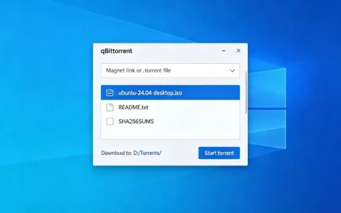 qBittorrent 开源种子工具，无广告支持磁力与种子下载