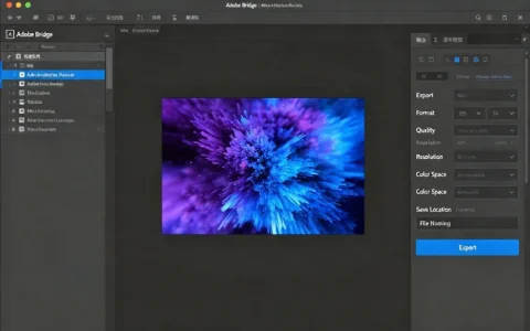 Adobe Bridge 创意资产管理相片编辑工具